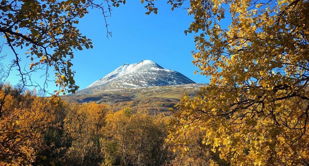 71301817_2439919912757769_9036687018431610880_n