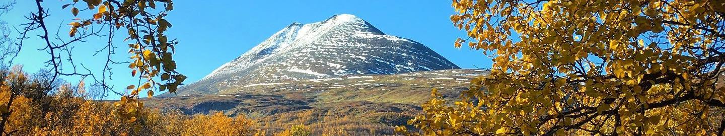 71301817_2439919912757769_9036687018431610880_n