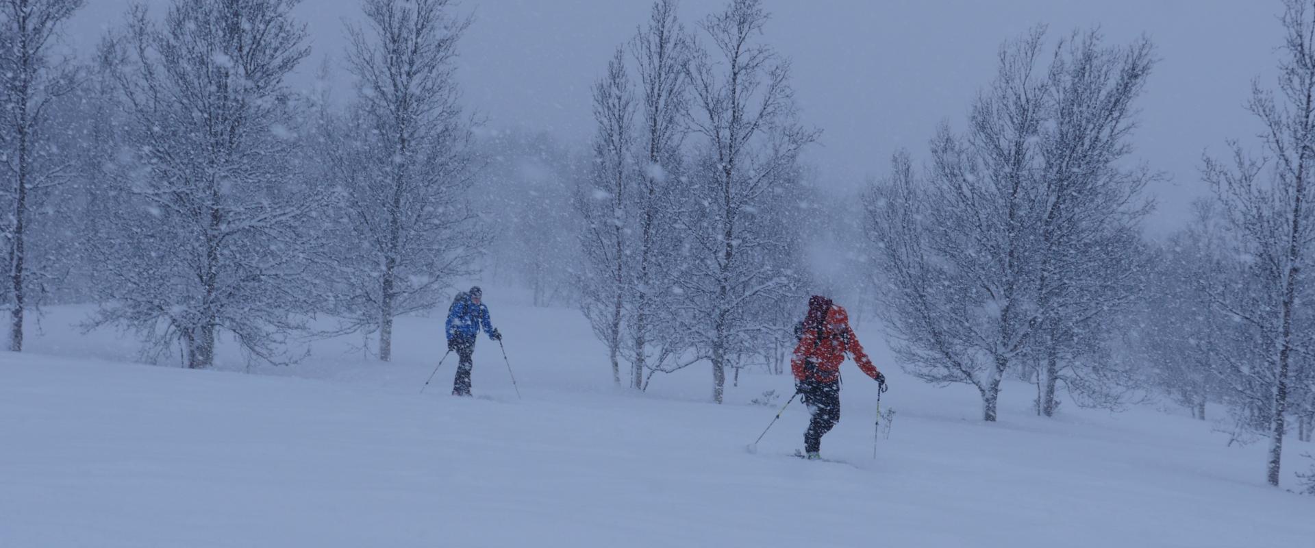 Gef&uuml;hrte Skitouren in den Lyngen Alpen