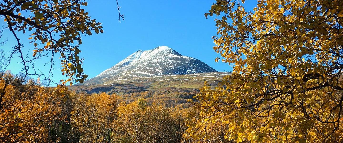 71301817_2439919912757769_9036687018431610880_n 71301817_2439919912757769_9036687018431610880_n