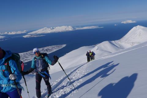 Skitour auf den Storgalten, Lyngen Alpen