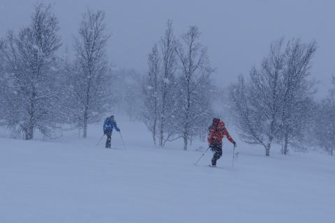 Gef&uuml;hrte Skitouren in den Lyngen Alpen