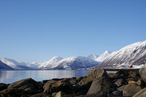 Skitouren Lyngenalpen, Sjufjellet | © Thomas Lippitsch Am Weg zur Skitour auf den Sjufjellet, Lyngenalpen.