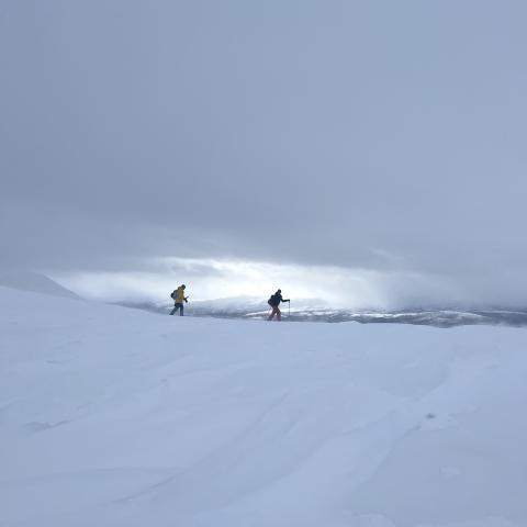 Skitouren in Lyngen: Tamokdalen, Sjufjellet | © Thomas Lippitsch Geführte Skitouren in den Lyngen Alpen