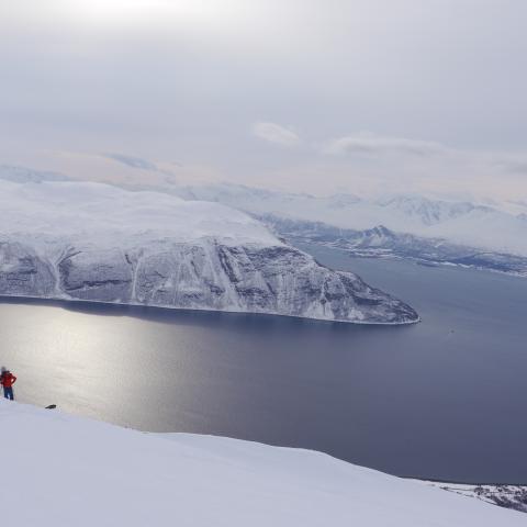 Skitour auf den Giilavarri, Olderdalen, Lyngenalpen.