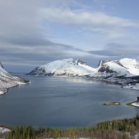 Skitouren Senja, Norwegen | © Thomas Lippitsch Geführte Skitouren auf der Insel Senja, Norwegen