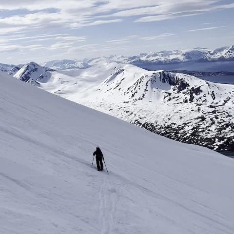 Aufstieg zum Storgalten. Arctic Summits