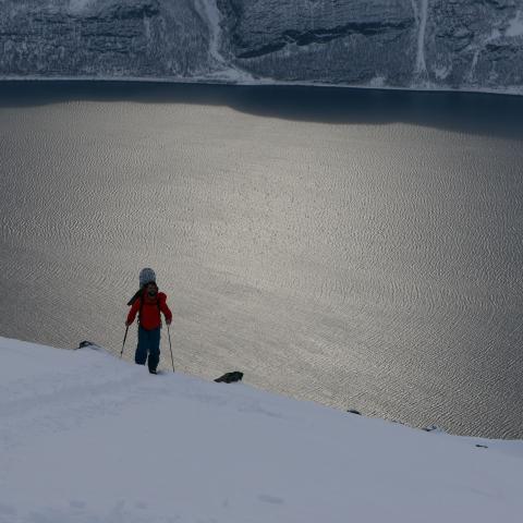 Skitour auf den Giilavarri, Lyngen Alpen, Olderdalen.