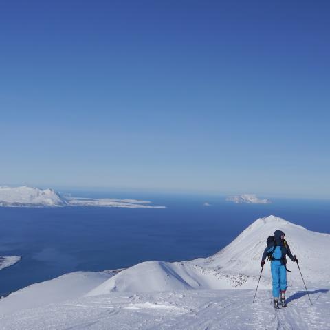 Skitour auf den Storgalten im Norden der Lyngen Alpen