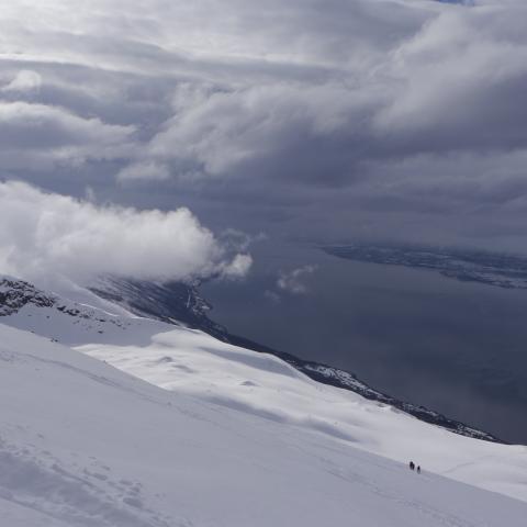 Storhaugen, Skitouren Lyngen Alpen | © Thomas Lippitsch Skitour auf den Storhaugen, Lyngen Alpen