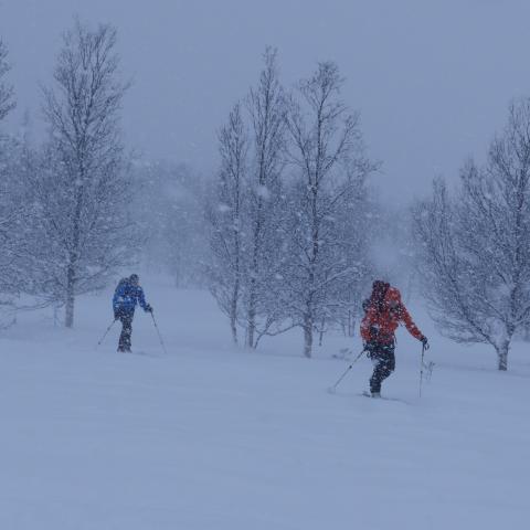 Gef&uuml;hrte Skitouren in den Lyngen Alpen