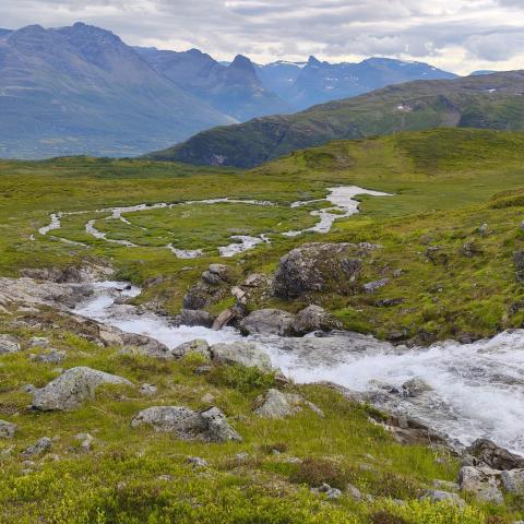 Sommer in Lyngen 1