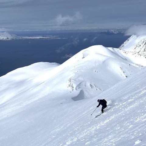 Gef&uuml;hrte Skitouren in den Lyngen Alpen 