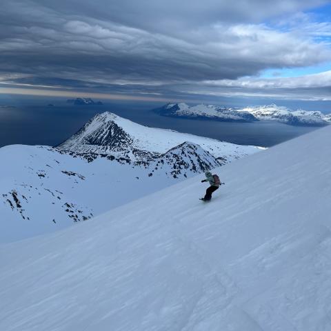 Skitour in den Lyngen Alpen: Storgalten | © Thomas Lippitsch Abfahrt mit dem Splitboard vom Storgalten 1219m. Geführte Skitouren mit Arctic Summits.