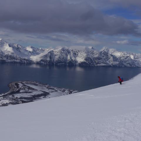 Skitour auf den Storhaugen, Lyngen Alpen