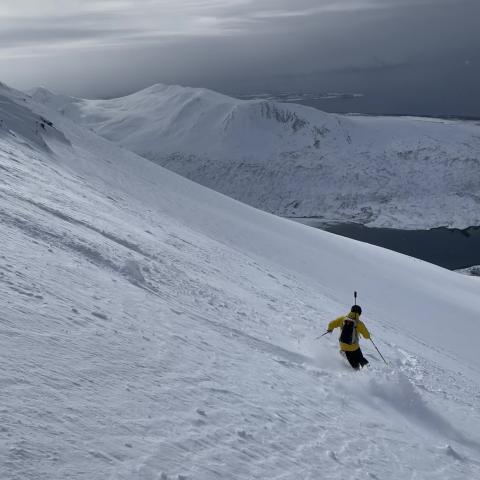 Skitouren in Lyngen: Storgalten | © Thomas Lippitsch Geführte Skitouren in den Lyngen Alpen