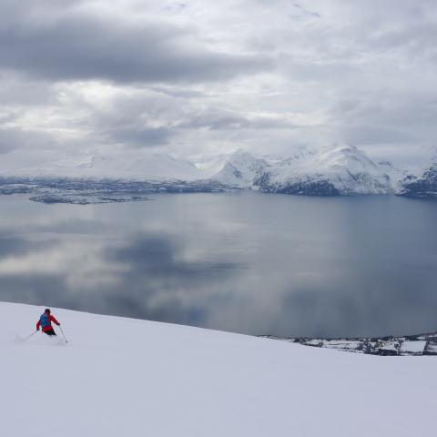 Skitour auf den Storhaugen, Lyngen Alpen