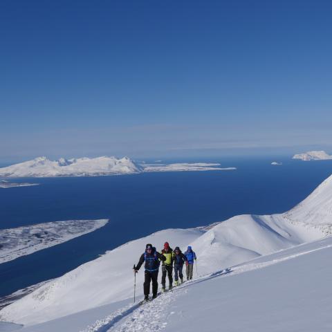 Skitour auf den Storgalten, Lyngen Alpen