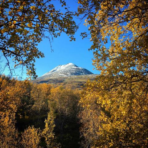 Gef&uuml;hrte Wanderungen in den Lyngen Alpen mit Arctic Summits