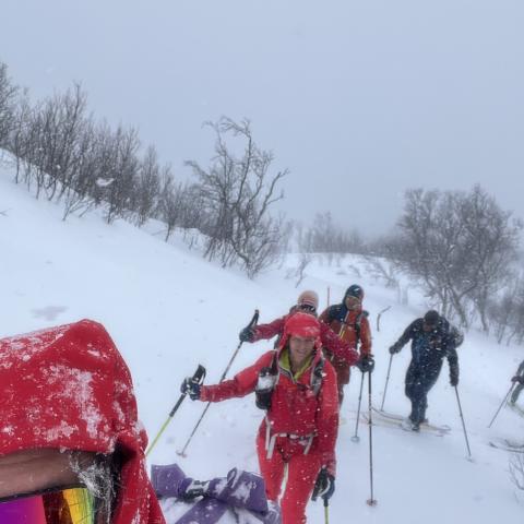 Skitouren in Lyngen, Aufstieg zu Verdens Ende | © Thomas Lippitsch Geführte Skitouren in den Lyngen Alpen