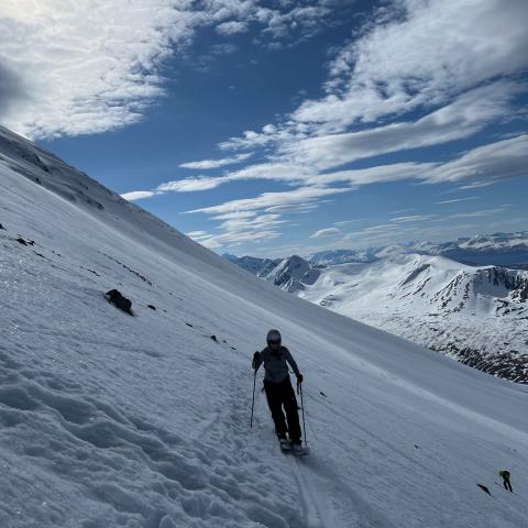 Skitour auf den Storgalten, Lyngen Alpen
