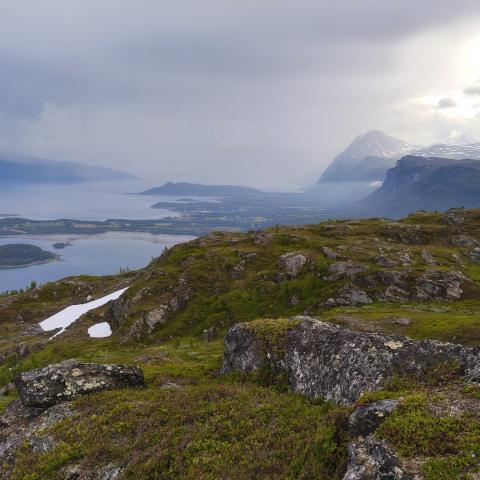 Wandern in den Lyngen Alpen | © Arctic Summits Sommer in Lyngen