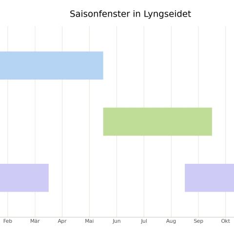 saisonfenster_lyngseidet