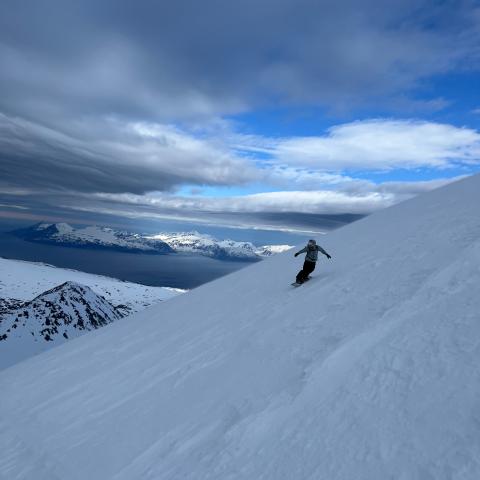 Abfahrt vom Storgalten; Splitboard.