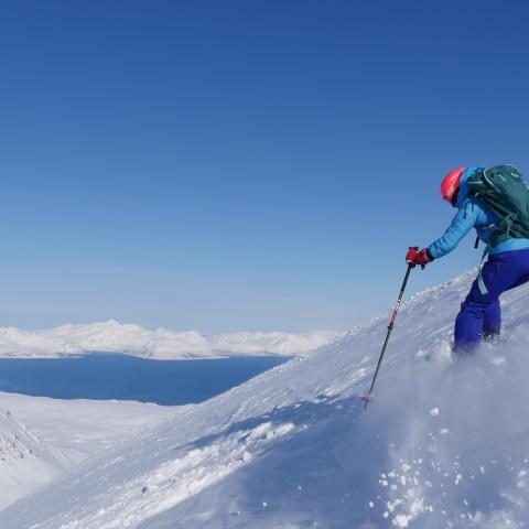 Skitour auf den Storgalten, Lyngen Alpen