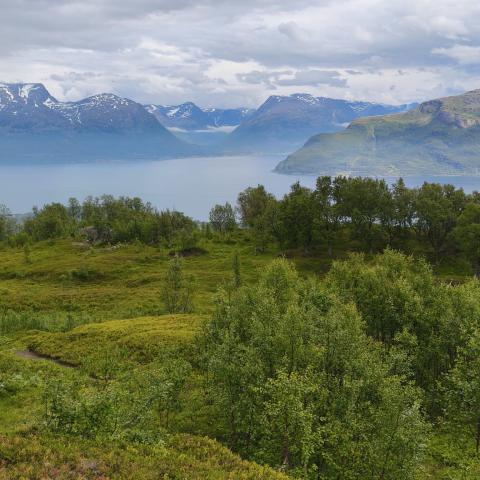 Sommer in den Lyngen Alpen