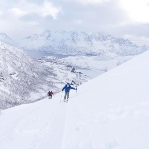 Gef&uuml;hrte Skitouren rund um Svolv&aelig;r, Lofoten