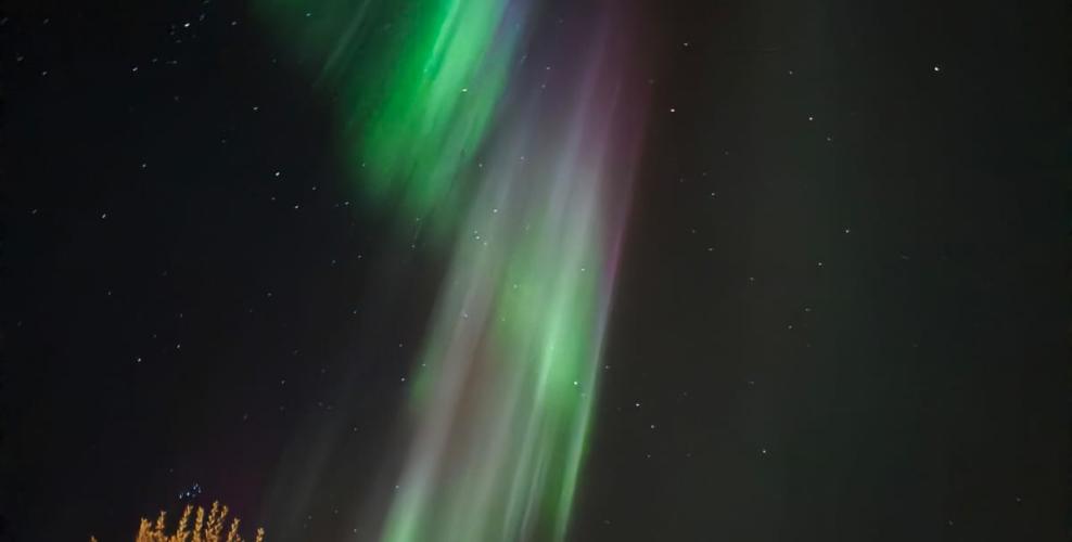 WhatsApp Image 2025-11-09 at 14.01.04 WhatsApp Image 2025-11-09 at 14.01.04