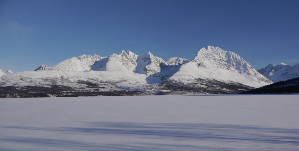 Skitour auf den Storgalten, Lyngenalpen