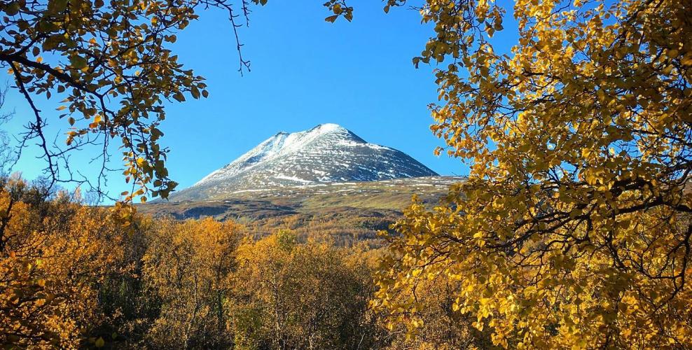 71301817_2439919912757769_9036687018431610880_n